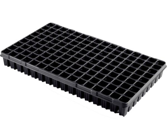 Sadbovač 144 buněk