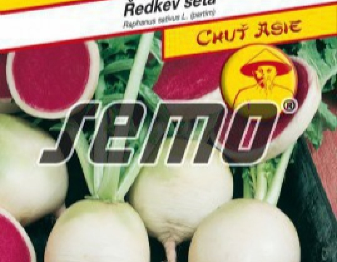 Semo Ředkev setá ´Red Meat´