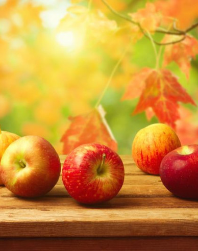 Jabloň Jonathan zimní, podn. MM106, prostok.