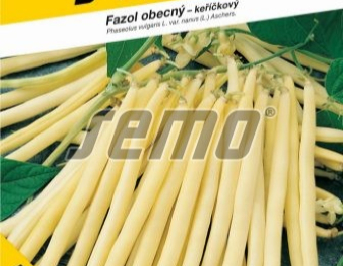 Semo Fazol obecný keříčkový Berggold