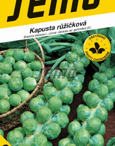 Semo Kapusta růžičková Groninger