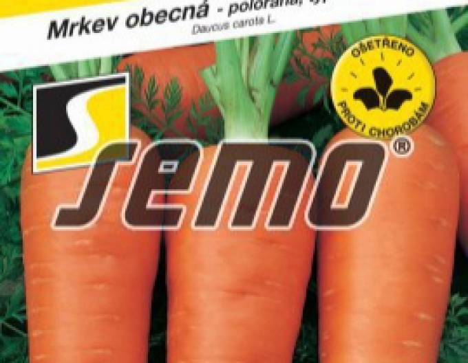 Semo Mrkev obecná Chamare