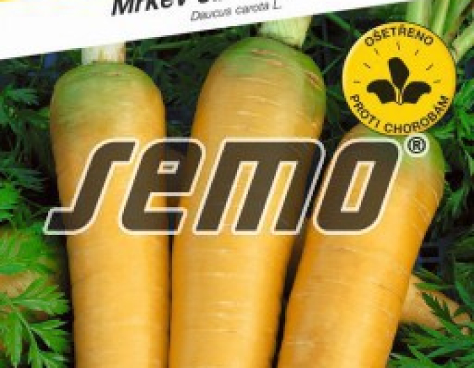Semo Mrkev Taborská Žlutá