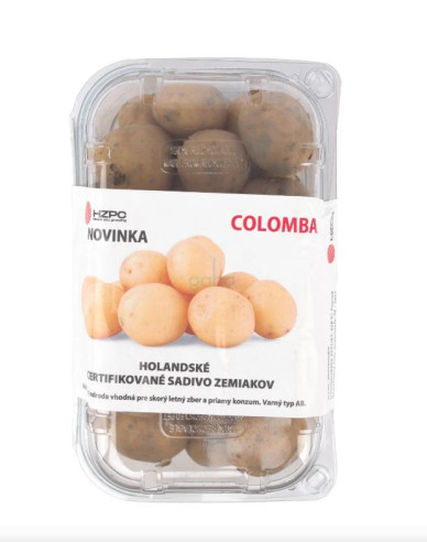 Sadbové brambory ´Colomba´ vanička cca 1 kg