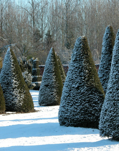 Tis červený ´Cono´