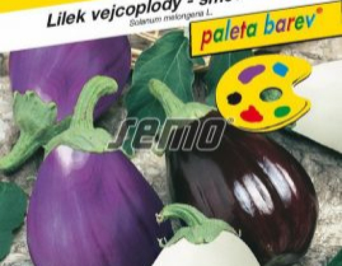 Semo Lilek  vejcoplodý ´Směs barev´