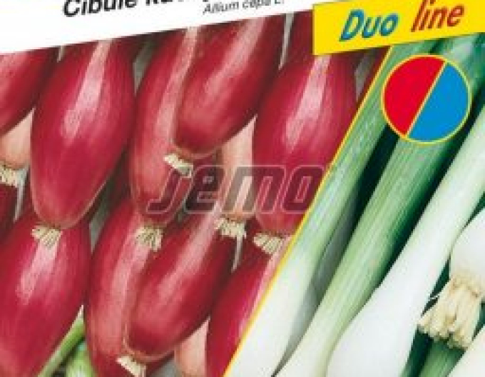 Semo Cibule kuchyňská ´Směs barev´ svazková