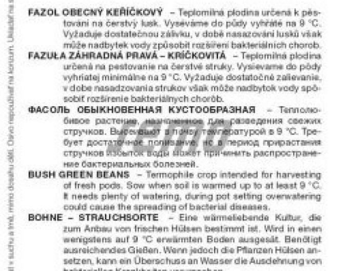 Semo Fazol obecný keříčkový Koala