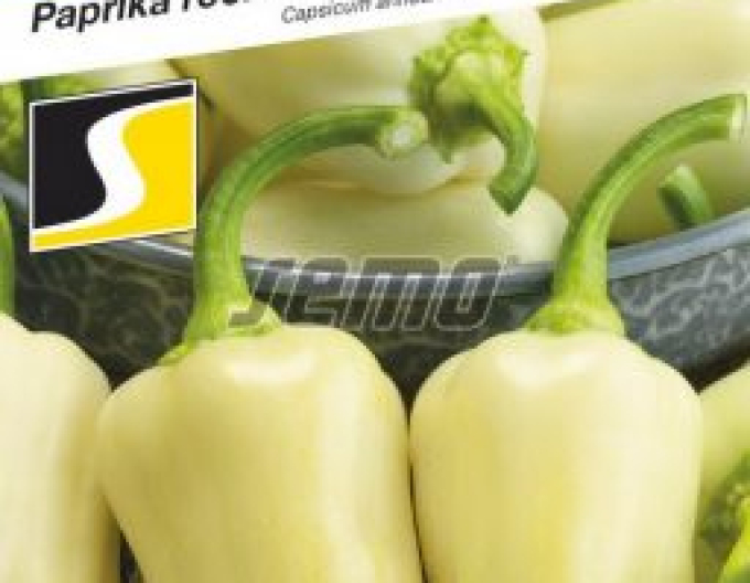 Semo Paprika roční ´Amykus F1´