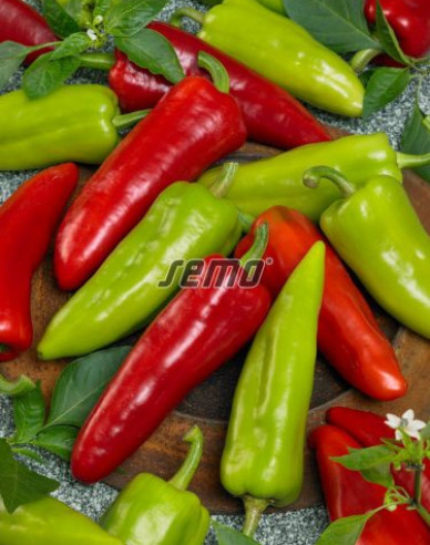 Semo Paprika roční ´Dráky F1´