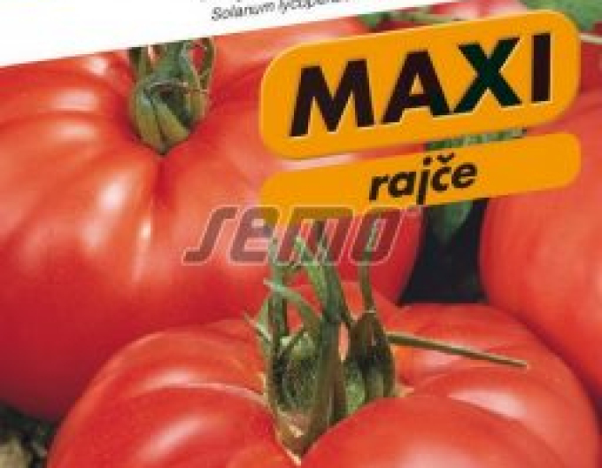 Semo Rajče tyčkové Jergus F1
