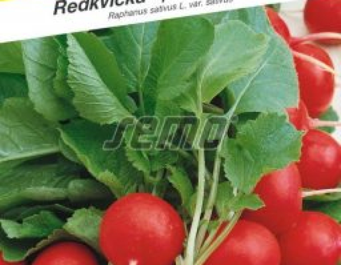 Semo Ředkvička Cherry Belle