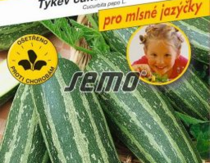 Semo Tykev cuketa Bush Baby F1