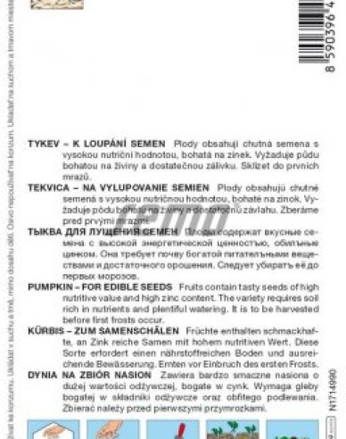 Semo Tykev velkoplodá Gurman (SM 396/19)