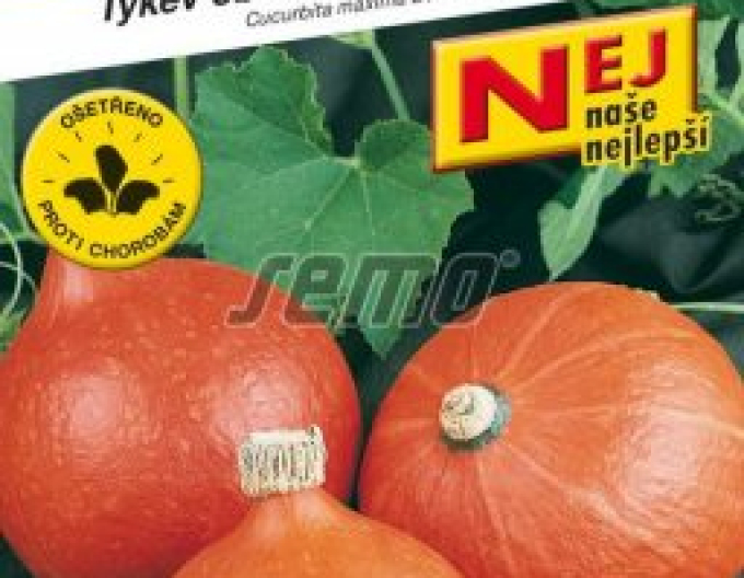 Semo Tykev velkoplodá Hokkaido Orange