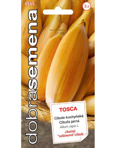 Dobrá semena Kuchyňská cibule Tosca