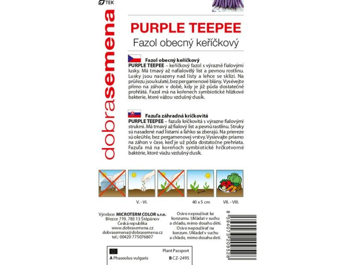 Dobrá semena  Fazol obecný keříčkový Purple Teepee