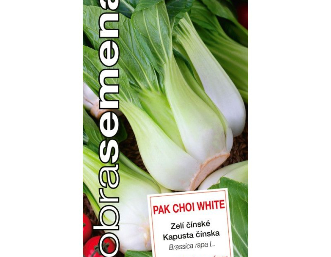 Dobrá semena Čínské zelí Pak Choi White
