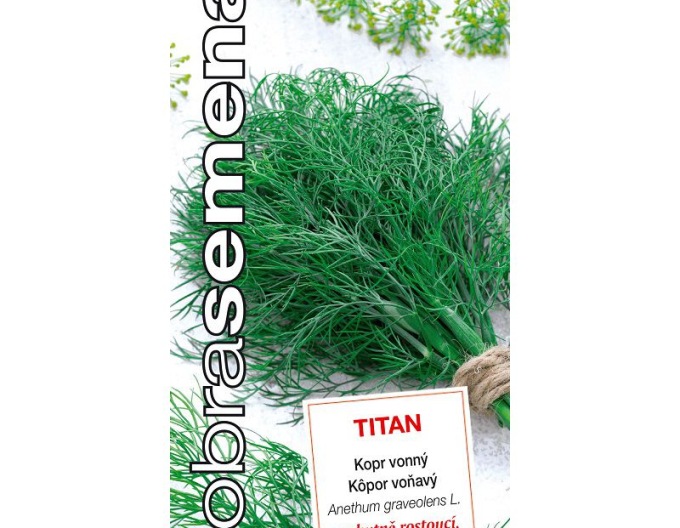 Dobrá semena Kopr voňavý Titan