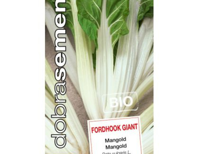 Dobrá semena Mangold ´Fordhook Giant Bio´