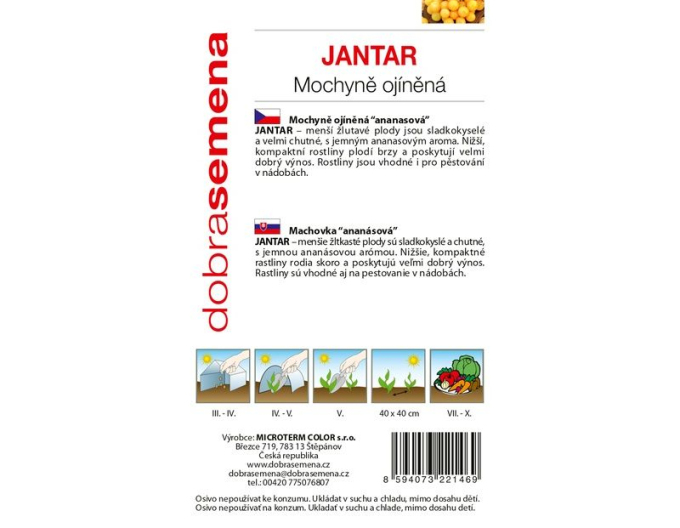Dobrá semena Mochyně ojiněná ´Jantár´