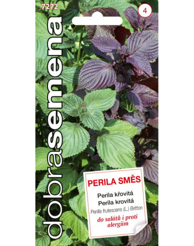 Dobrá semena Perila křovitá
