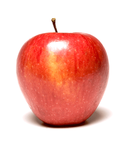 Jabloň Pinova zimní, podn. M9, prostok.