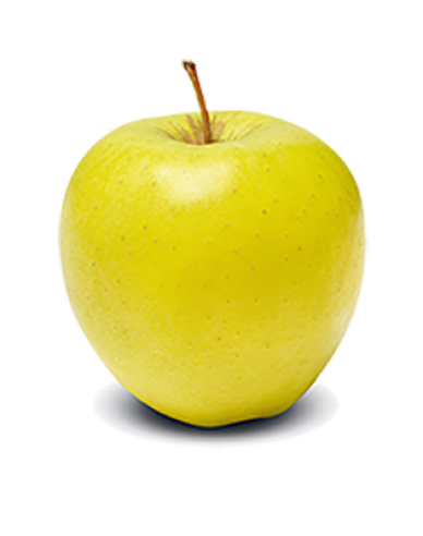 Jabloň ´Golden Delicious´ zimní, podn. M9, kont. 5l