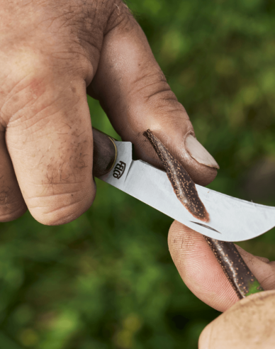 FELCO 511 Očkovací nůž na révu