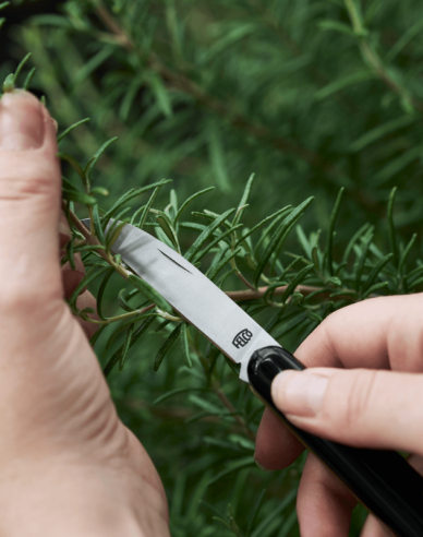 FELCO 520 Floristický nůž