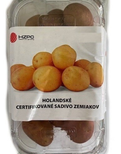 Sadbové brambory ´Avanti´ vanička cca 1 kg