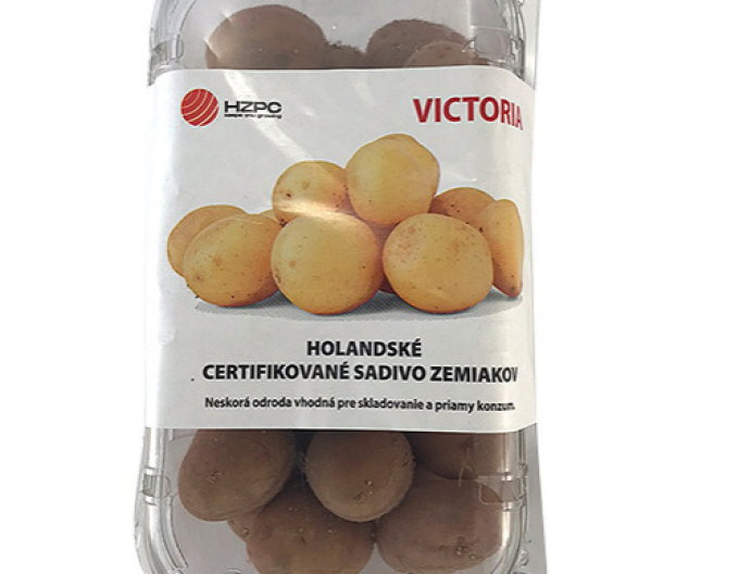 Sadbové brambory ´Victoria´ vanička cca 1 kg