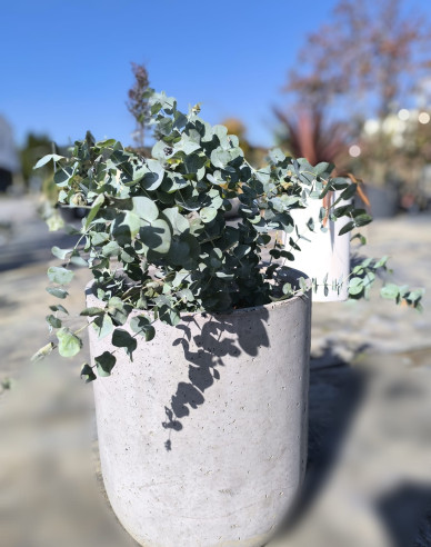 Květináč Terratico Fusion Essen S Silver