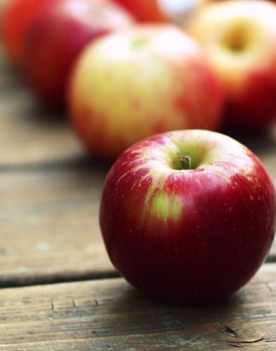 Jabloň ´Gala´ zimní, podn. M9, prostok.