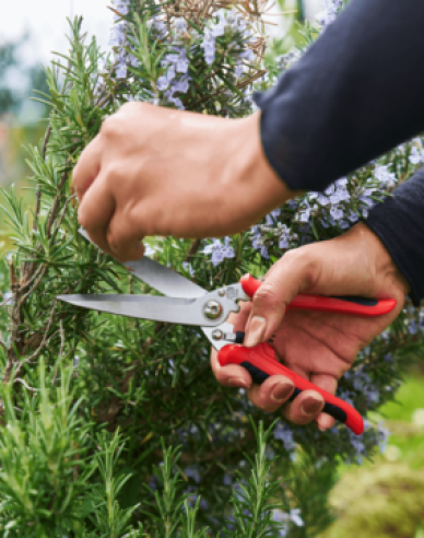 FELCO 456 Univerzální nůžky