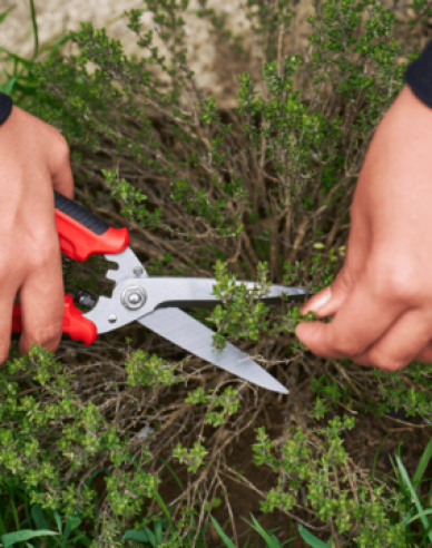 FELCO 456 Univerzální nůžky