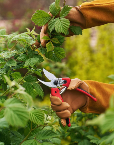 Nůžky FELCO 171M + bruska FELCO 902