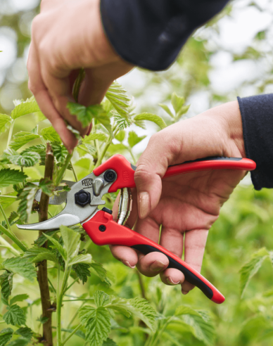 Nůžky FELCO 171M + bruska FELCO 902