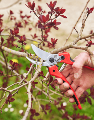 Nůžky FELCO 171L + bruska FELCO 902