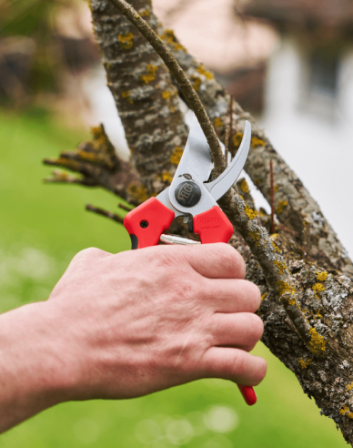 Nůžky FELCO 171L + bruska FELCO 902