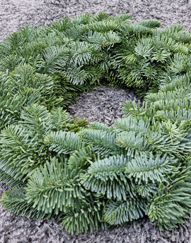 Vánoční věnec (Abies Nobilis) 35cm