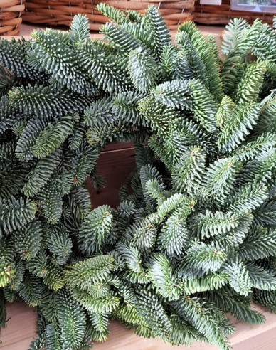 Vánoční věnec (Abies Nobilis) 45cm