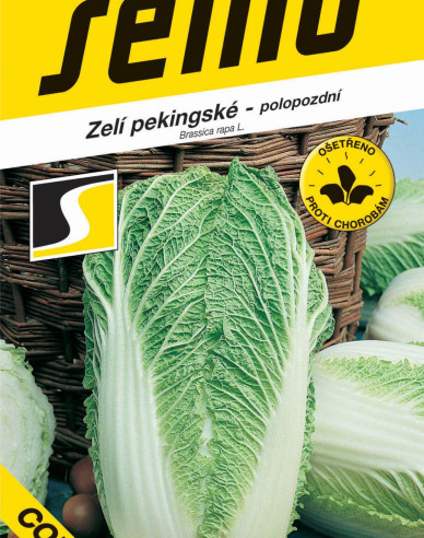 Semo Zelí pekingské ´Concord F1´