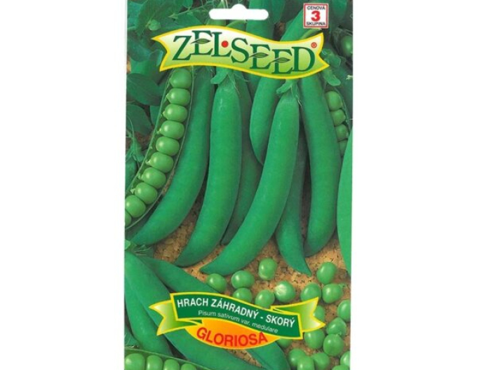 Zelssed Hrách setý dřeňový Gloriosa