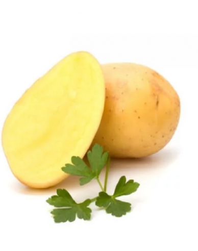 Sadbové brambory ´Soraya´ vanička 1kg