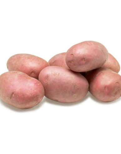 Sazenice brambor ´Memphis´ 5kg