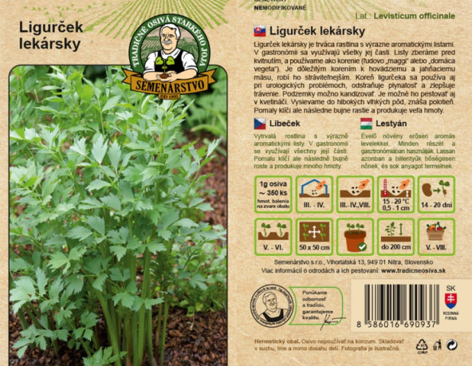 Semenářství Lékořice lékařská
