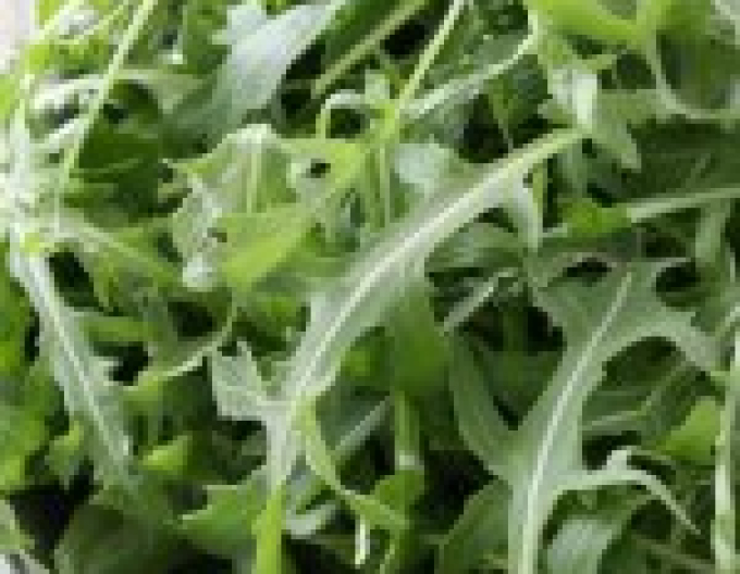 Rukola Grazia
