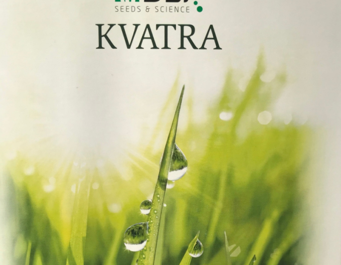 Kvatra Sport Travní semeno 1kg