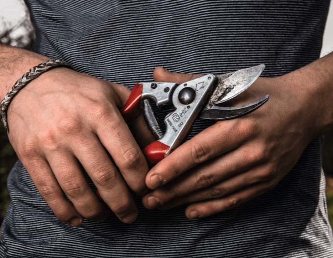 Nůžky FELCO 8 + pila FELCO 600